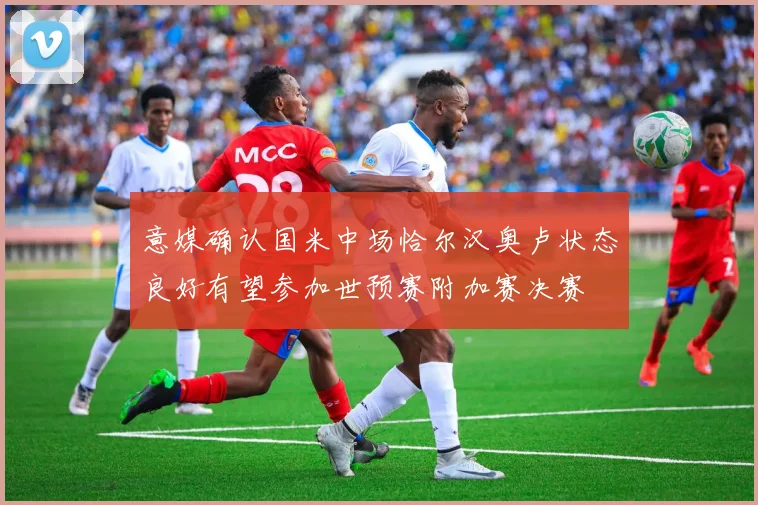 意媒确认国米中场恰尔汉奥卢状态良好有望参加世预赛附加赛决赛