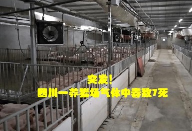 四川一养猪场爆发化粪池气体中毒事故，，，，，，，，OB视讯气体检测仪守护清静