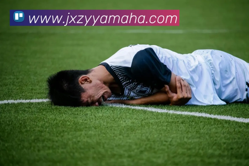 多媒体互动体验